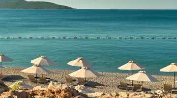 THE CHEDI LUSTICA BAY