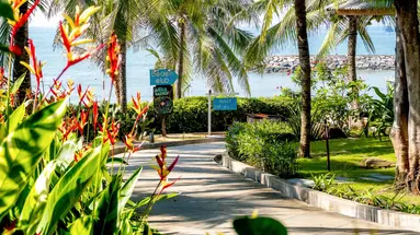 The Cliff Resort & Residence