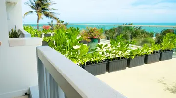 THE CLIFF RESORT & RESIDENCES