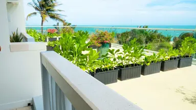 THE CLIFF RESORT & RESIDENCES