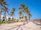 The Club by Fanar