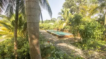 The Coastal Village Cabanas