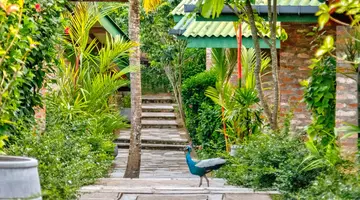 The Coastal Village Cabanas