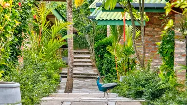 The Coastal Village Cabanas