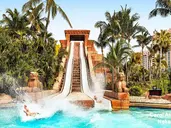 The Coral at Atlantis