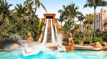 The Coral at Atlantis