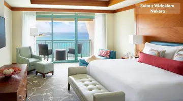 The Cove Atlantis