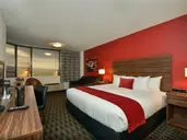 The D Las Vegas