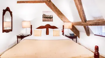 The Dominican