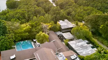 The Funny Lion Coron