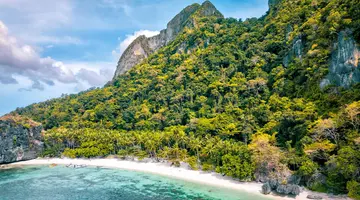 The Funny Lion El Nido