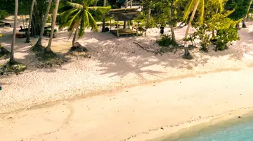 The Funny Lion El Nido