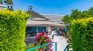 THE GRAND BLUE SKY HOTEL
