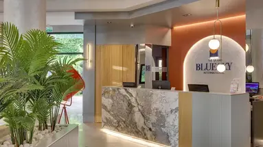 The Grand Blue Sky International