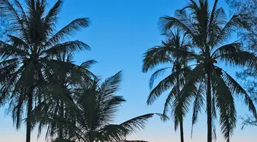 The Haven Khao Lak