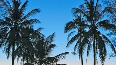 The Haven Khao Lak