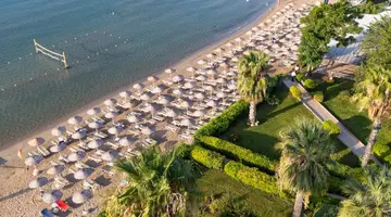 THE HOLIDAY RESORT