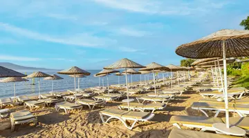 THE HOLIDAY RESORT