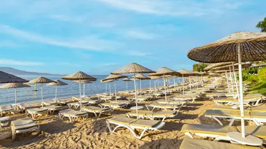 THE HOLIDAY RESORT
