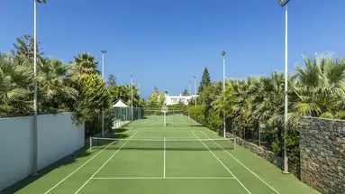 The Island - Adults Only