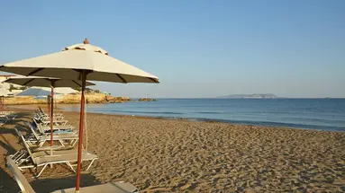 The Island - Adults Only