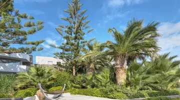 The Island Hotel