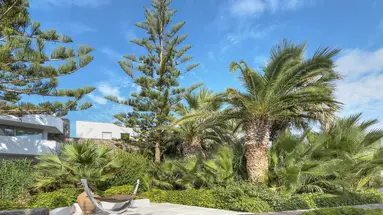 THE ISLAND HOTEL