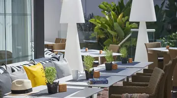 THE KING JASON PAPHOS DESIGNED FOR ADULTS