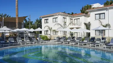 THE KING JASON PAPHOS DESIGNED FOR ADULTS