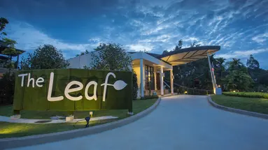 THE LEAF ON SANDS by KATATHANI