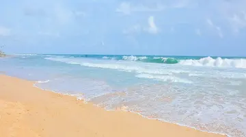THE LONG BEACH RESORT