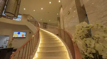 THE LUNAR PATONG
