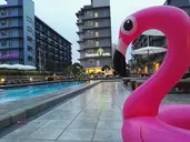 THE MANGROVE HOTEL