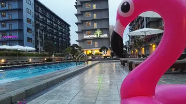 THE MANGROVE HOTEL