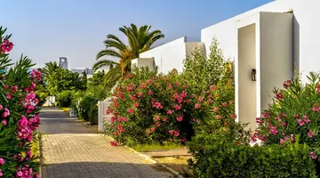 The Mirage Resort & Spa (ex. Iberostar)