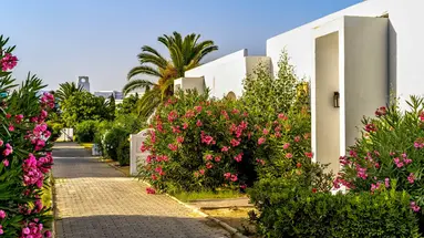 The Mirage Resort & Spa (ex. Iberostar)