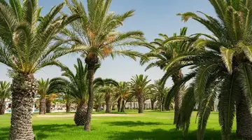 The Mirage Resort & Spa