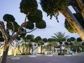 THE MIRAGE RESORT & SPA