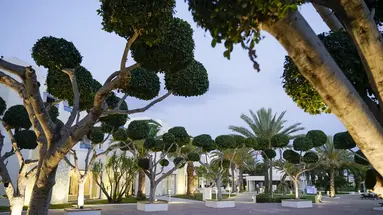 THE MIRAGE RESORT & SPA