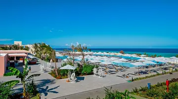 The Mora Zanzibar