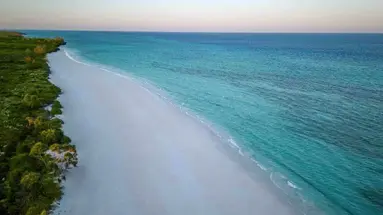 The Mora Zanzibar