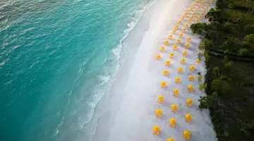 The Mora Zanzibar