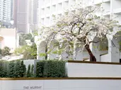 The Murray, Hong Kong, A Niccolo Hotel