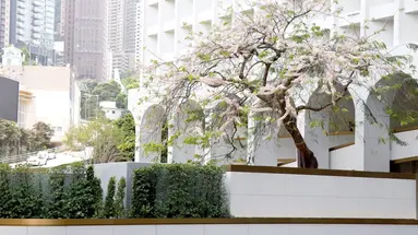 The Murray, Hong Kong, A Niccolo Hotel