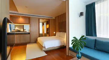 THE NAP PATONG