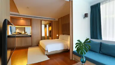 THE NAP PATONG