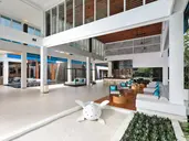 THE NAP PATONG