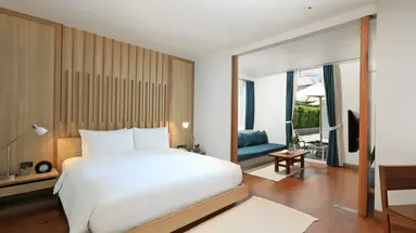 THE NAP PATONG
