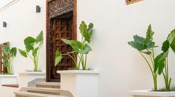 The Neela Boutique Hotel Stone Town