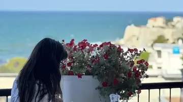 The New Mediteran - Villa Edition